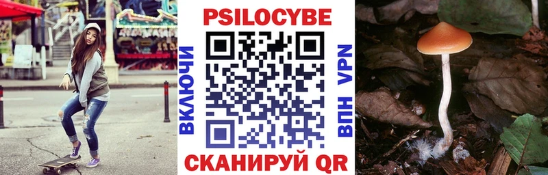 Купить  Ростов-на-Дону  Галлюциногенные грибы Magic Shrooms 